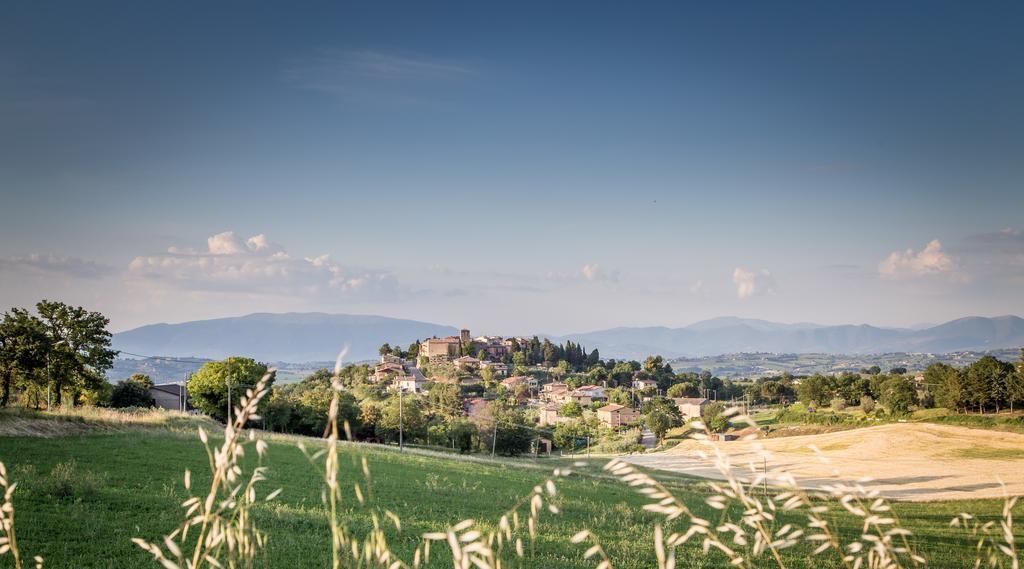 Montecchio  Domus In Castro B&B 외부 사진